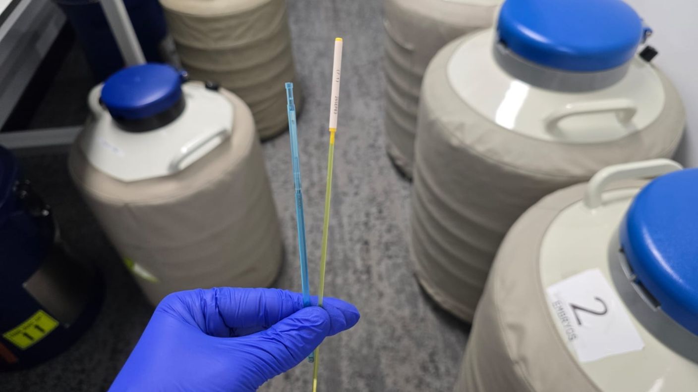 Straws used for vitrification and direct transfer